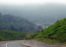 Enlarge photo 30