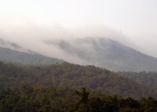 Enlarge photo 33