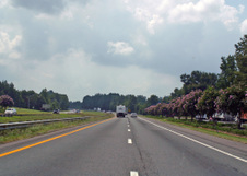 Enlarge photo 39