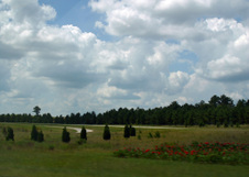 Enlarge photo 45