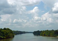 Enlarge photo 46