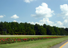 Enlarge photo 48