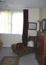 Enlarge photo 63