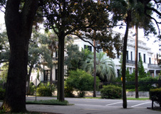Enlarge photo 68