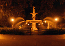 Enlarge photo 432