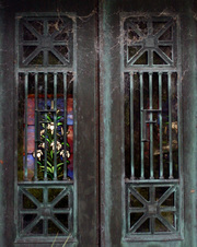 Enlarge photo 220