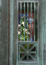 Enlarge photo 223