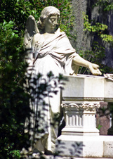 Enlarge photo 232