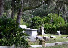 Enlarge photo 234