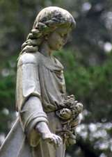 Enlarge photo 235