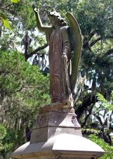 Enlarge photo 237