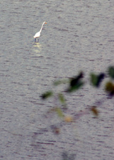 Enlarge photo 243