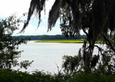 Enlarge photo 244