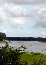 Enlarge photo 245