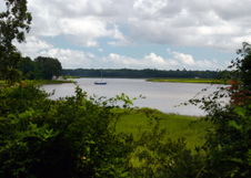 Enlarge photo 246