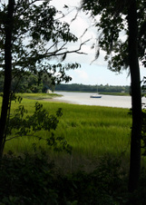 Enlarge photo 247