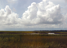Enlarge photo 248