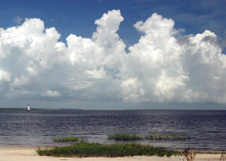 Enlarge photo 250