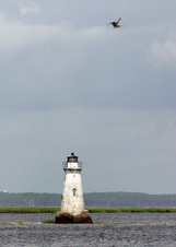 Enlarge photo 251