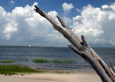 Enlarge photo 254