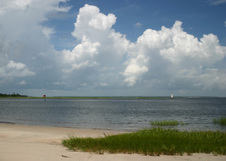 Enlarge photo 256