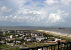 Enlarge photo 261