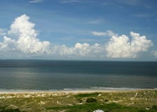 Enlarge photo 265