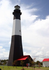 Enlarge photo 269