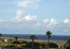 Enlarge photo 271