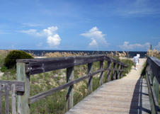 Enlarge photo 273