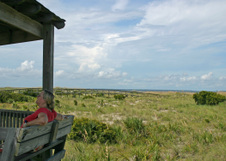 Enlarge photo 274
