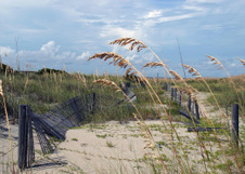 Enlarge photo 275
