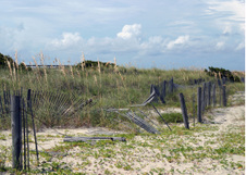 Enlarge photo 276