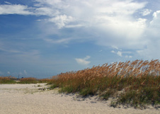 Enlarge photo 277