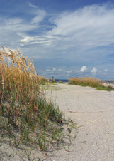 Enlarge photo 278