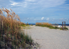 Enlarge photo 279