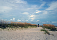 Enlarge photo 280