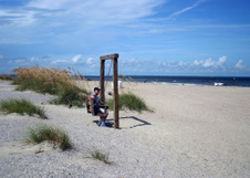 Enlarge photo 281