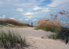 Enlarge photo 282