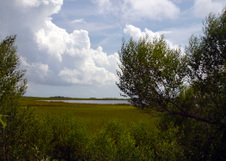 Enlarge photo 288