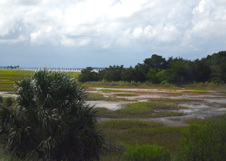 Enlarge photo 290