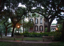 Enlarge photo 107