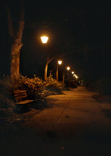 Enlarge photo 115
