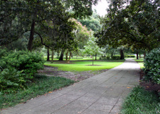 Enlarge photo 126