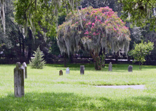 Enlarge photo 137