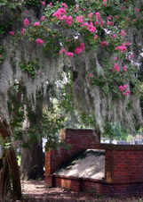 Enlarge photo 139