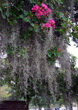 Enlarge photo 140