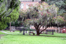 Enlarge photo 145