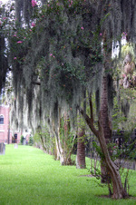 Enlarge photo 147
