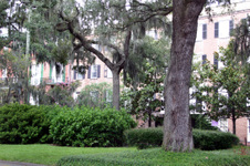 Enlarge photo 148